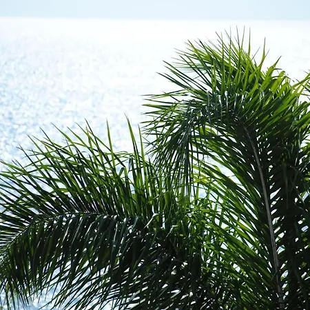 Appartamento Stavento Argostoli (Kefalonia)