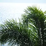 Lejlighed Stavento Argostoli (Kefalonia)